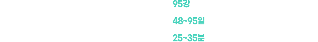 강좌 상세 안내