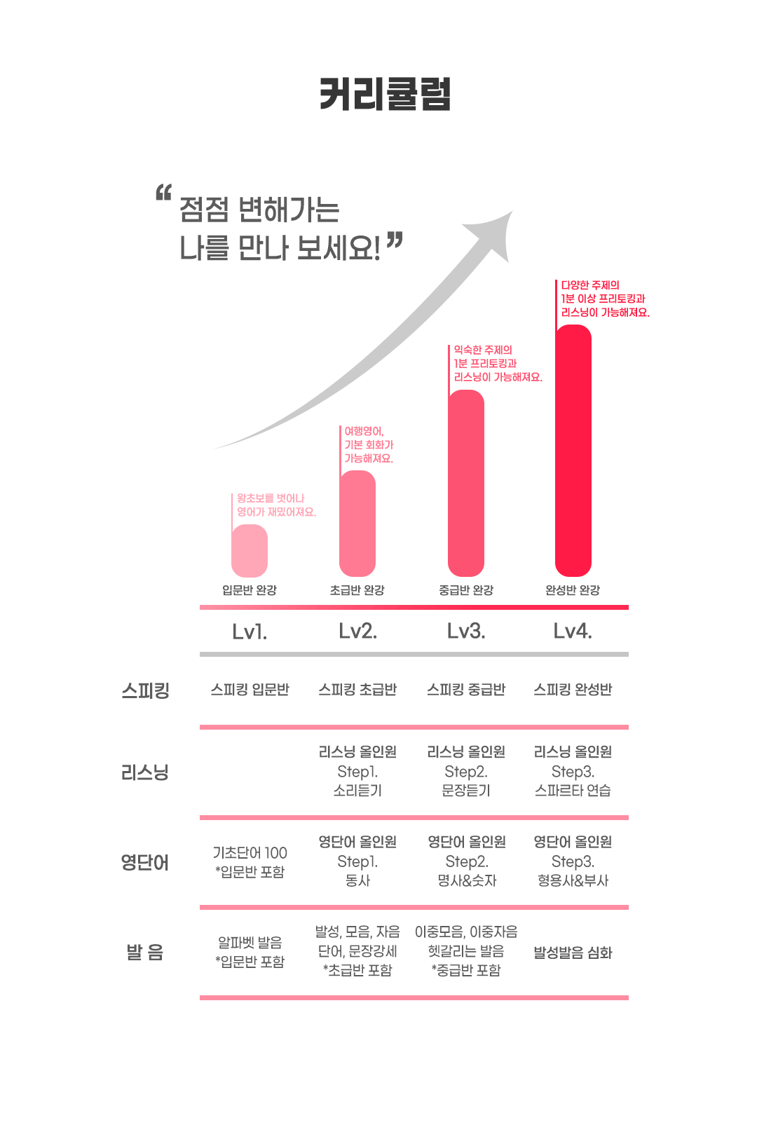 커리큘럼